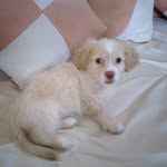 Alfredo Tobar - @alfredoivan68 - Instagram