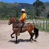 Alfredo Toro - @alfredo.toro72 - TikTok