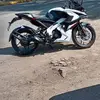 Toro Alfredo - @toro.alfredo - TikTok