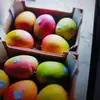 Alfredo Valle - @alfredo.valle97 - TikTok