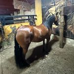 Alfredo Velez - @velez.alfredo - Instagram