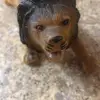 Alfredo Zelaya - @alfredozelaya22 - TikTok