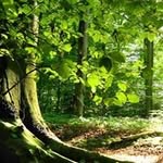 Ali Abbassi - @abbassi7811 - Instagram