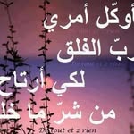 Ali Aboudi - @alialialiaboudi - Instagram