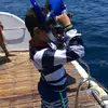 Ali Afifi - @ali_afifi06 - TikTok