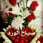 Ali Afifi - @ali.afifi2009 - Instagram