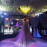 Ali Afifi - @ali.afifi.756 - Instagram