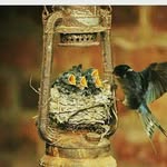 ali_alasmari - @ali__alasmari__ - Instagram
