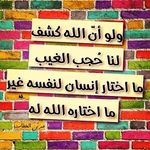 Ali Alattar - @alata_503 - Instagram