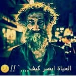 Ali Alayan - @alayan5108 - Instagram