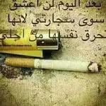 Ali Alayan - @ali.alayan.3114935 - Instagram