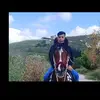 Ali Alayan - @alialayan4 - TikTok