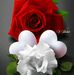 Ali Alhilo - Facebook