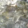 alialii - @alialii32 - TikTok