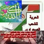 Ali Alitoo Alitoo - @ali.alitoo - Instagram