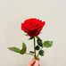 Ali Alk - Facebook