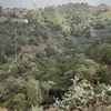 Ali Alkabsh - @alialkabsh2 - TikTok