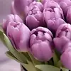 Ali Alkaifi58 - @aliywmen92 - TikTok