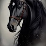 Ali Alkatib - @alkatib.ali - Instagram