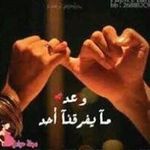 محمد الشامي - @alialkazaz983 - Instagram