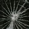 Ali Alkhaled - @alialkhaled18 - TikTok