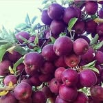 ali allahyari - @allahyari696 - Instagram