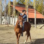 ali allahyari - @ali_allahyari2 - Instagram