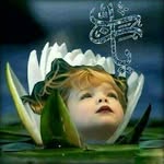 علي - @ali.almaleki350 - Instagram
