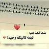 Ali Al Maleki - @alialmaleki7 - TikTok