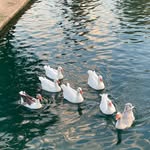 Ali Almaleki - @almalekia - Instagram