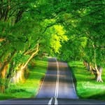 Ali Almaleki - @ali.almaleki.92 - Instagram