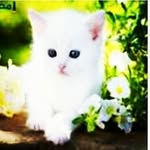 علي المالكي - @_ali.almaliky - Instagram