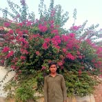 Almash Ali - Facebook