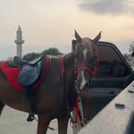 Ali almazrouei - @_al3viii - Instagram