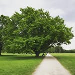 Ali Almazrouei - @almazrouei.ali - Instagram