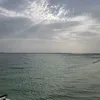 alialmazrouei78 - @alialmazrouei78 - TikTok