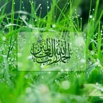 علي المنور - @ali.almunawwar - Instagram