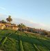 Ali Alnasser - Facebook