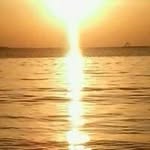 Ali Alrayes - @alrayes.ali - Instagram