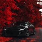 Ali Alrayes - @alrayes742 - Instagram