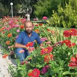 Ali Alsaadawi - @alialsaadawi - Instagram