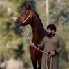 ali7alsagri - @ali7alsagri - TikTok