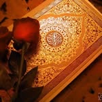 علي الصايدي - @ali_alsaidi__ - Instagram