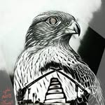Ali kadhom alsaqar - @ali_alsamariee - Instagram