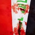 Ali Tariq - @ali.alsamaria - Instagram