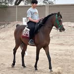 @alialsaqqay2 - Instagram