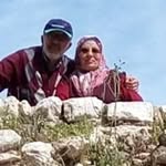 Ali Argun - @ali.argun.906 - Instagram