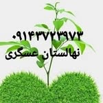 Ali Asghari - @nahalestan_aliasgari7480 - Instagram