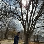 ali ataei - @ali_ataei - Instagram