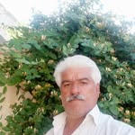 ali_ataei_80 - @ali_ataei_80 - Instagram